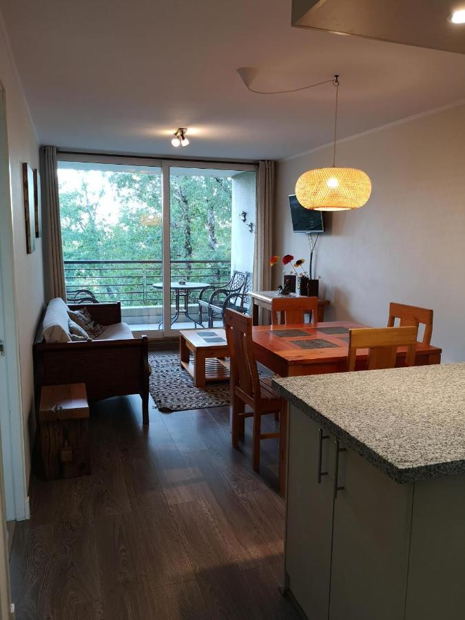 Acogedor Departamento En Apartamento