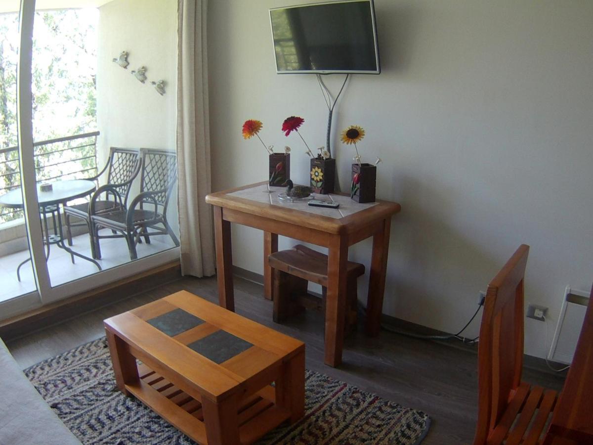 Apartamento Acogedor Departamento En Pucón