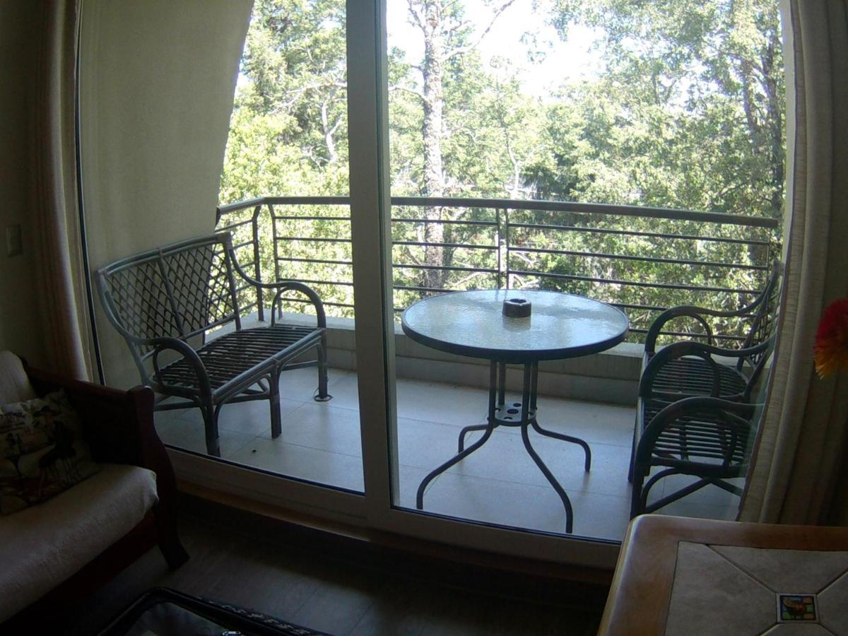 Apartamento Acogedor Departamento En Pucón